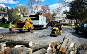 Best Leaf Removal  in Malverne, NY