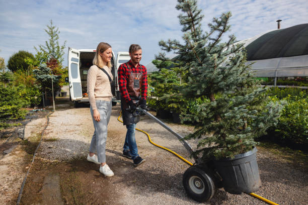  Malverne, NY Tree Services Pros